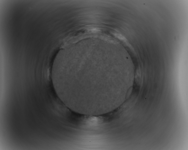 X0000089880330200707121817