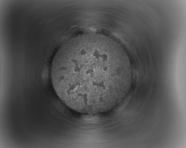 X0000089880331200707121817