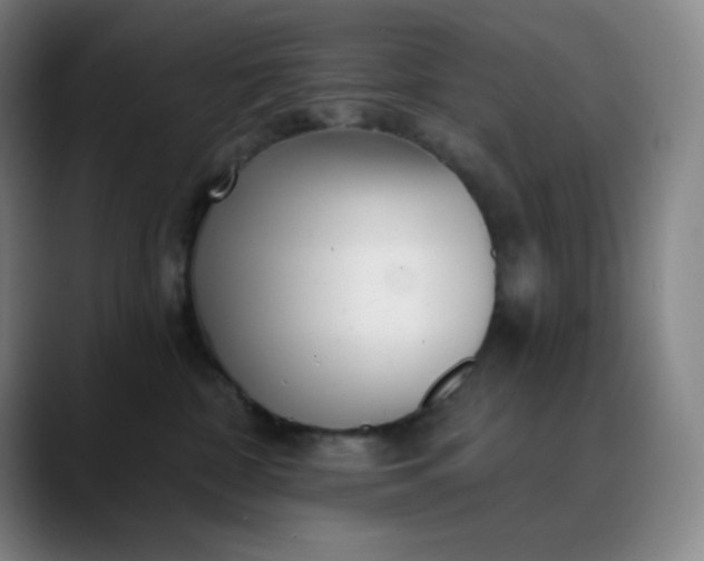 X0000089880332200707121817