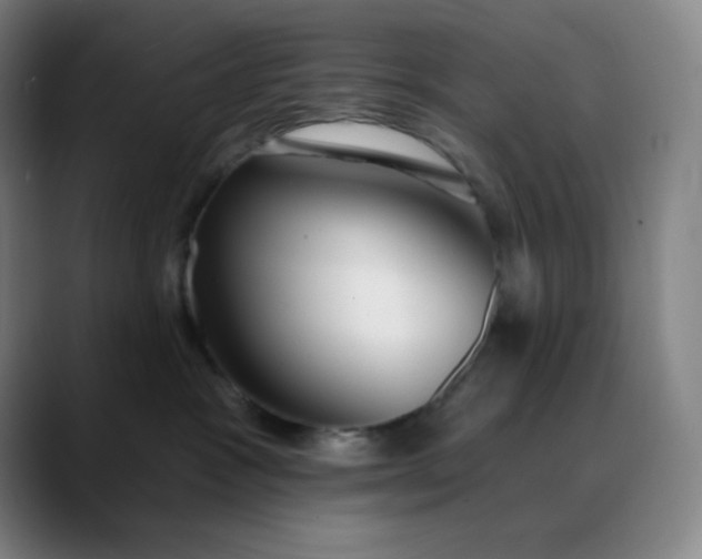 X0000089880333200707121817