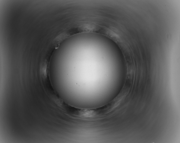 X0000089880334200707121817