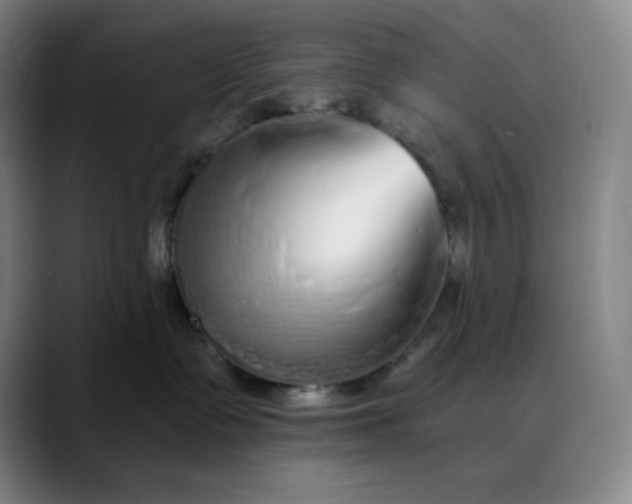 X0000089880335200707121817