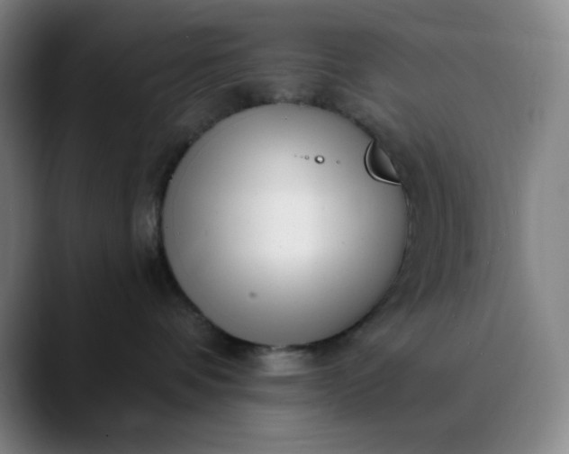 X0000089880336200707121817