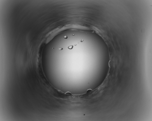 X0000089880338200707121816