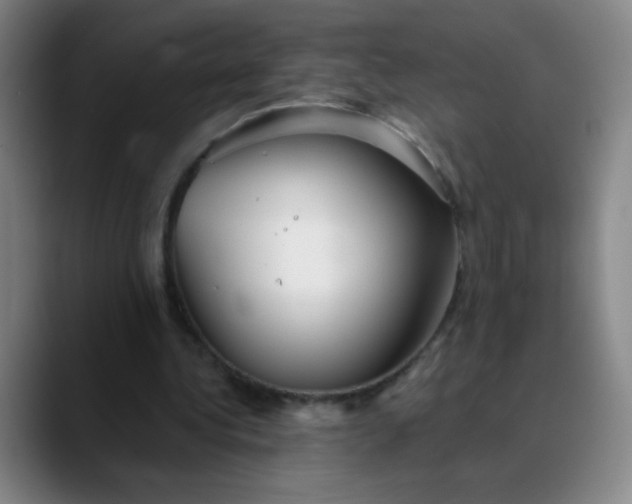 X0000089880340200707121816