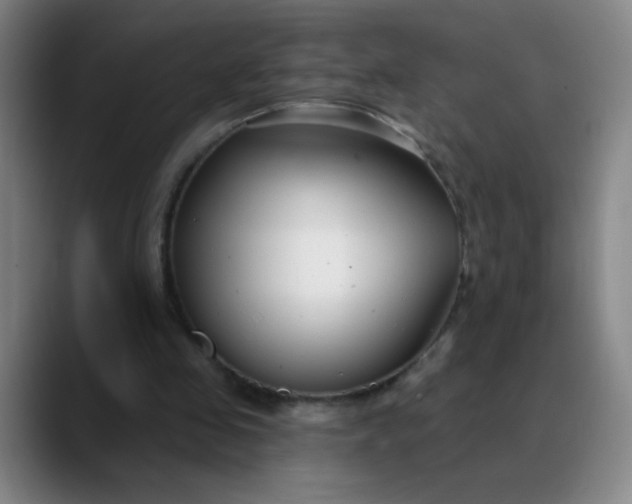 X0000089880341200707121816