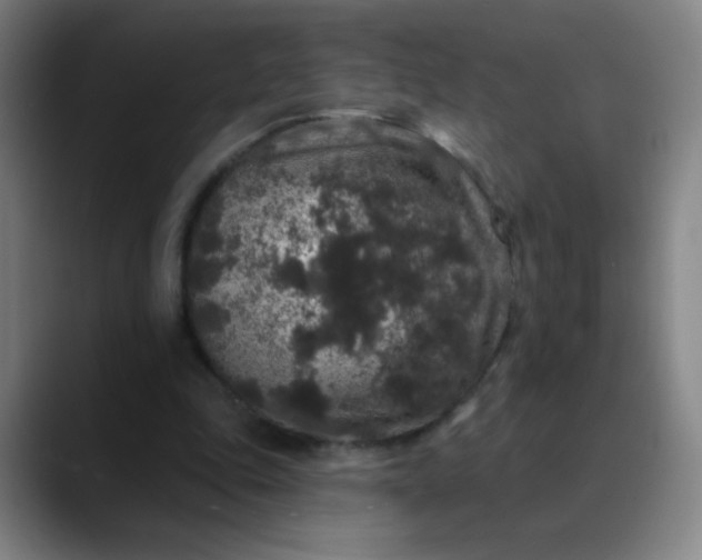 X0000089880343200707121816