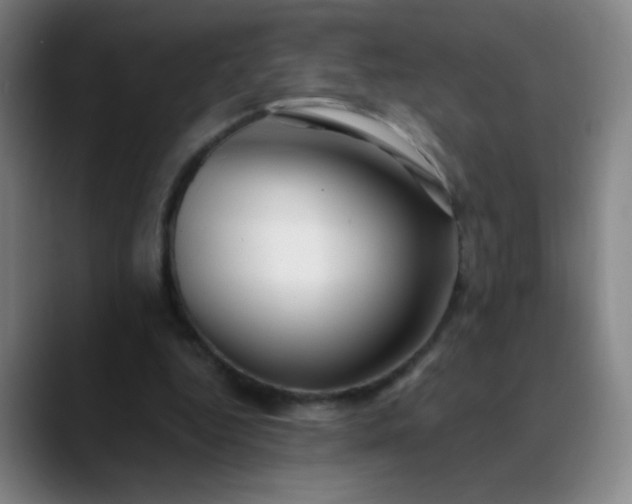 X0000089880344200707121816