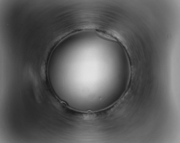 X0000089880345200707121816