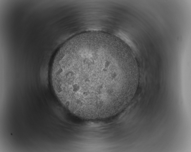 X0000089880346200707121816