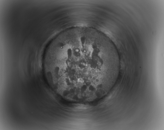 X0000089880347200707121816