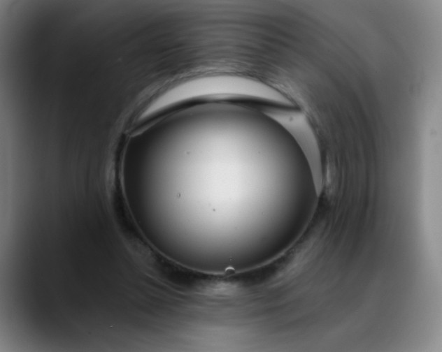 X0000089880348200707121816