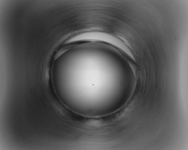 X0000089880350200707121816