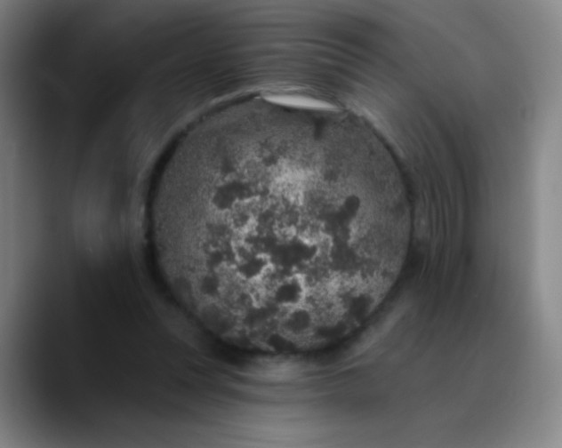 X0000089880351200707121816