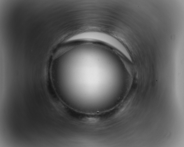 X0000089880352200707121816