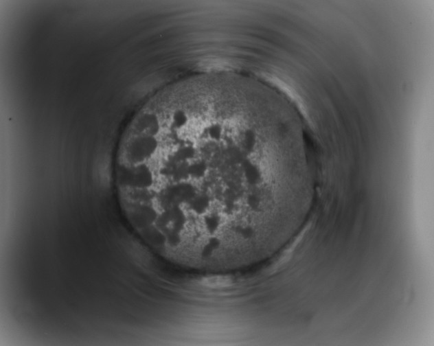 X0000089880353200707121816