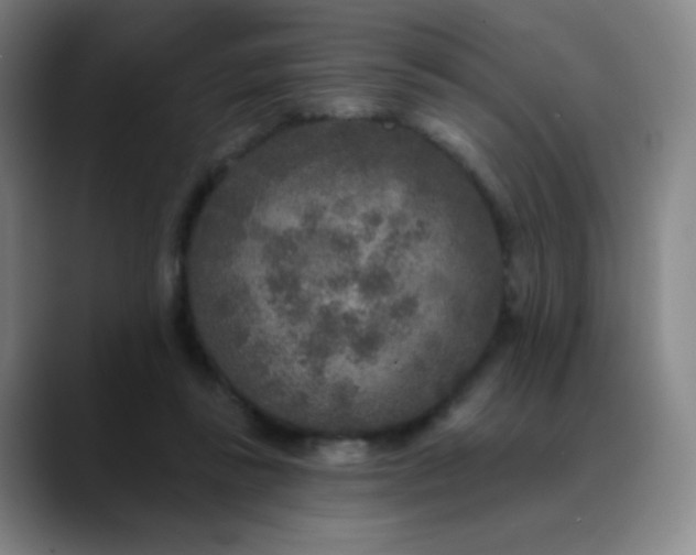 X0000089880355200707121817