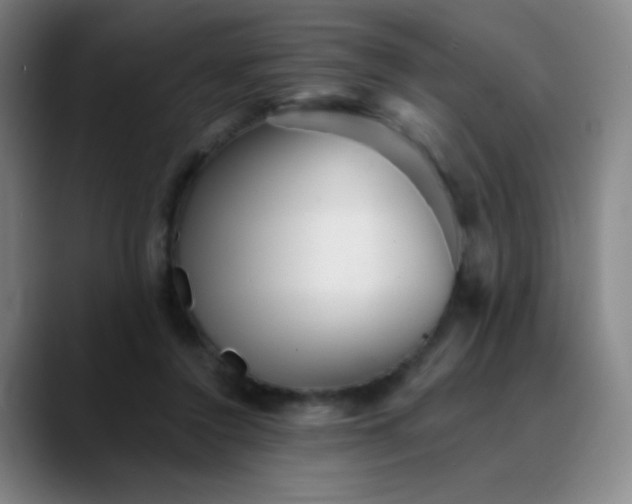 X0000089880356200707121817