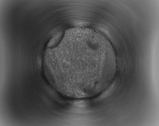 X0000089880357200707121817