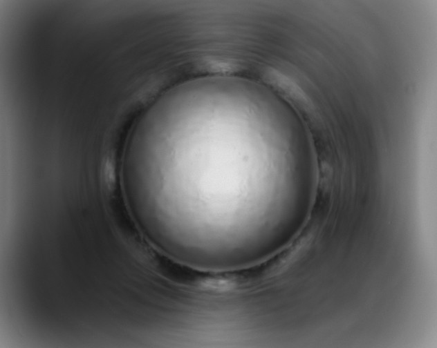 X0000089880358200707121817