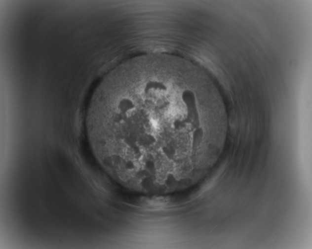 X0000089880359200707121817