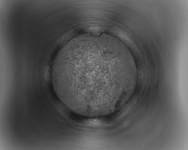 X0000089880361200707121817