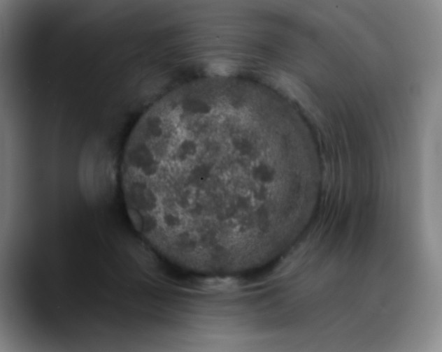 X0000089880363200707121817