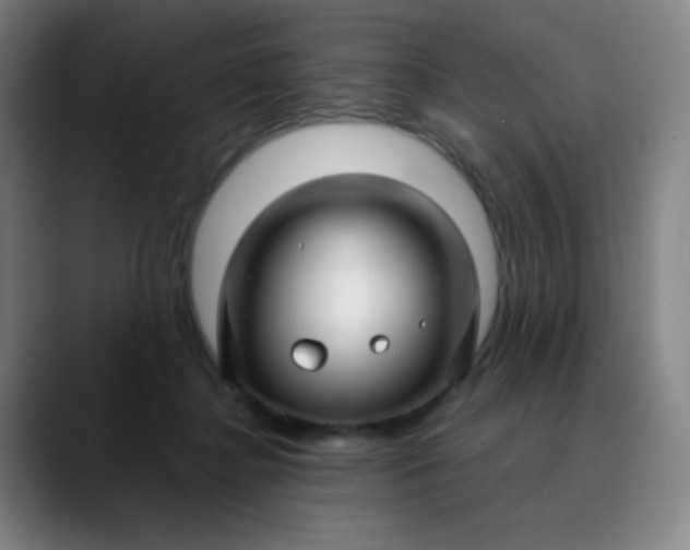 X0000089880364200707121817