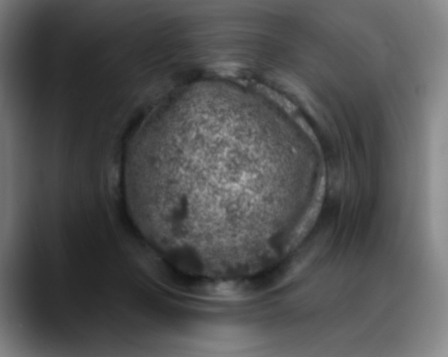 X0000089880365200707121817