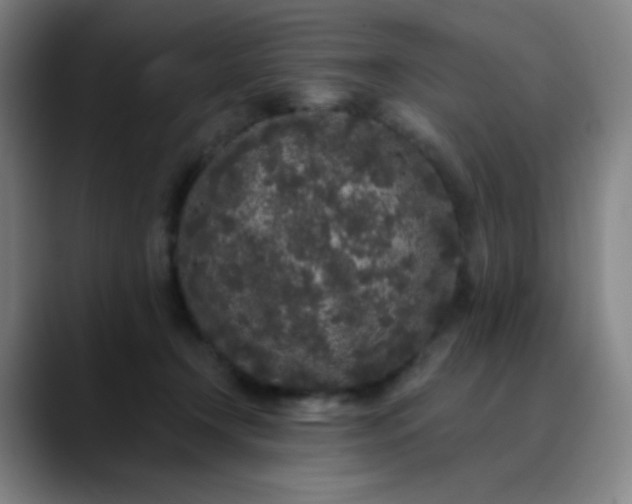 X0000089880366200707121817