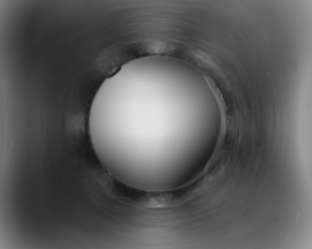 X0000089880368200707121817