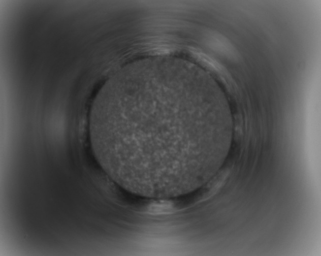 X0000089880369200707121817