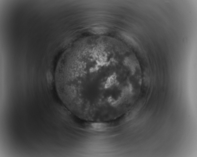 X0000089880371200707121817