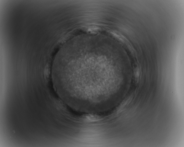 X0000089880372200707121817