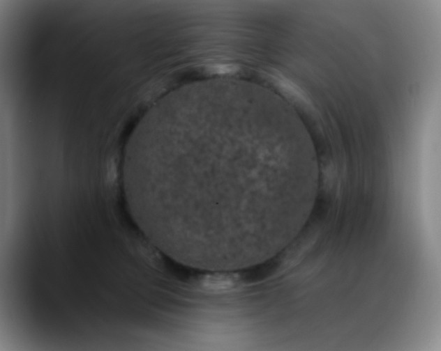 X0000089880373200707121817