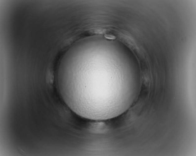 X0000089880374200707121817