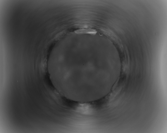 X0000089880376200707121817