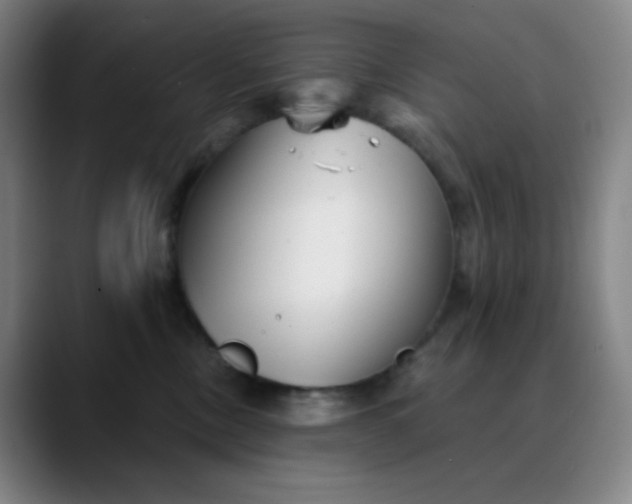 X0000089880378200707121817