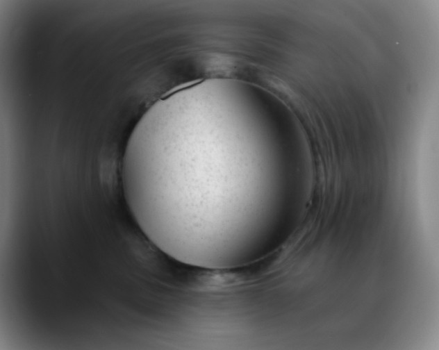 X0000089880379200707121817