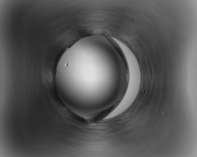 X0000089880380200707121817