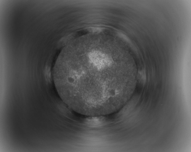 X0000089880381200707121817