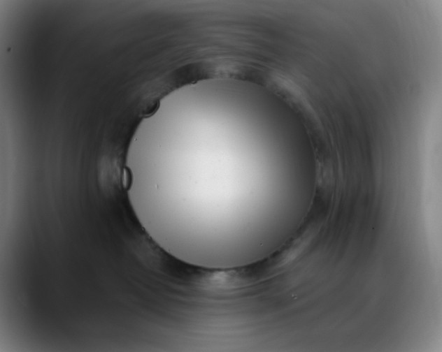 X0000089880382200707121817