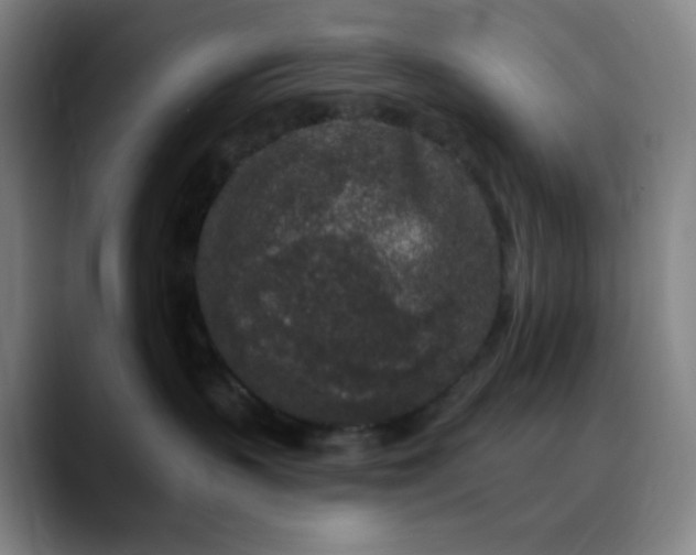 X0000089880383200707121817