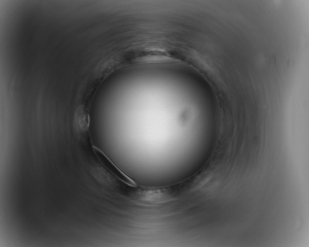 X0000089880384200707121817