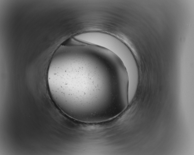 X0000089880385200707121816