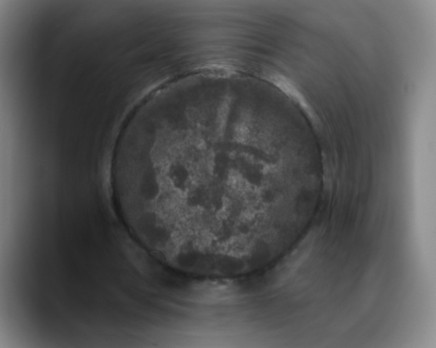 X0000089880386200707121816