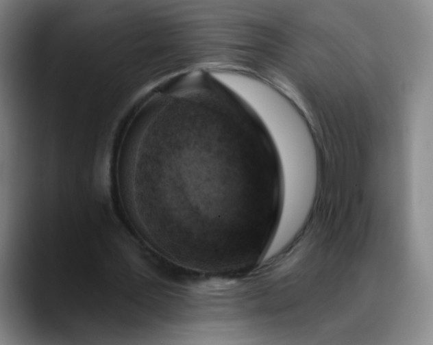 X0000089880387200707121816