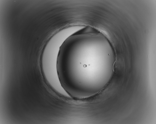 X0000089880389200707121816