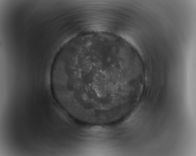 X0000089880390200707121816