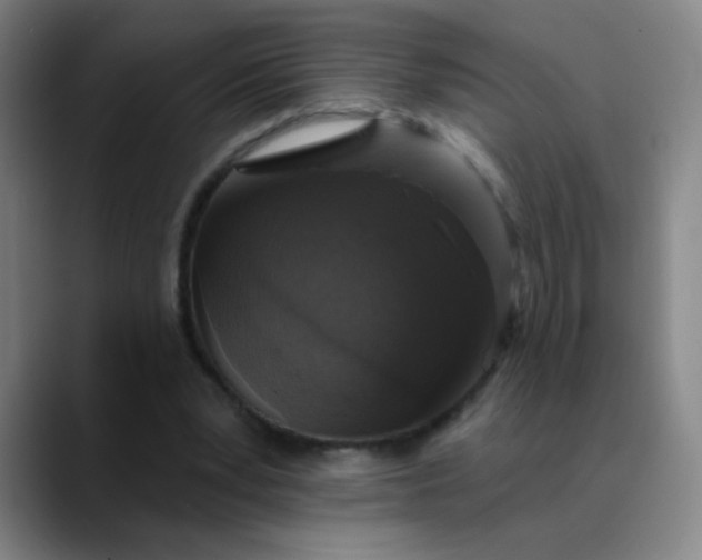 X0000089880391200707121816